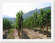 2005-09-04 13-23-12 Sept 37,6mm 1_400_eme F5,0 * 2592 x 1944 * (1.86MB)